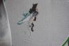1334702524_1142.thumb.JPG.ecff9e573035abc118e6da8fca1400bb.JPG