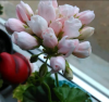 1521452296_5.thumb.png.8ff1c7adb9a1f64ade485a1b80fe2b3b.png