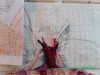 15572060432152958414975133482506.thumb.jpg.a8cd51c864b99fda4cd5b2b45ae02ff6.jpg