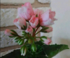 1789164242_6.thumb.png.008a4ca37f766d10fb139a052fc327d2.png