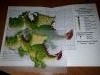 20190401_130638.thumb.jpg.2e1db7fe2bb87d7ea63db209536ee8da.jpg?1557481589435
