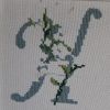 20190415_181735.thumb.jpg.5b95193d4ce0ccfa9940ca312fff0bc9.jpg