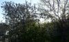 20190427_173649.thumb.jpg.4128f3aeff93ddda4493157c2ac84a62.jpg