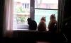 20190429_135031.thumb.jpg.96cfeb062a0463d1d2010f4ef22b06b0.jpg