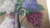 20190429_185945.thumb.jpg.dde57aba8f3fb40ee78d8422a58510a2.jpg