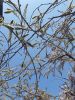 20190501_115000.thumb.jpg.9bd6547ebb839d6d83bc2be1de762357.jpg