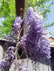 20190501_115021.thumb.jpg.c3e06443b1729db2466d3b9ec5400da0.jpg