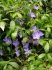 20190502_104214.thumb.jpg.f961ebb99eb33cdfefd7587716556d87.jpg