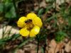 20190502_112515.thumb.jpg.2ec36ec74e03835d53b51b9db1d92302.jpg