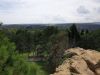20190502_114058.thumb.jpg.3474c38dd15f6a38ea9428f758eaa329.jpg