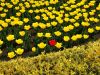 20190502_121120.thumb.jpg.0069cb105f3f6513a0c22a11f7aef3ab.jpg