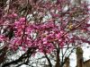 20190502_163258.thumb.jpg.7acf78053a1220f043cad1e795973008.jpg