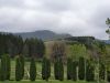 20190503_131032.thumb.jpg.6f791de5d82d9da1c977be26724b4a45.jpg