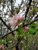 20190503_142544.thumb.jpg.e712651b8556d0732c9bf0b469282643.jpg