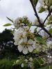 20190503_143601.thumb.jpg.7cecd4304c55c34150f105fd3d8ddce8.jpg