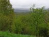 20190504_143145.thumb.jpg.5af851b81ab25e60a935314e6d3a5769.jpg