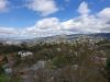 20190505_132645.thumb.jpg.ab9aa58a217ad98f236c8d445133ee4a.jpg