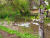 20190505_151630.thumb.jpg.b193022dfaf0fca3405780b0d396c309.jpg