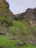 20190505_163630.thumb.jpg.d638ca38f5d9740abb63c13830717692.jpg