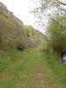 20190505_163947.thumb.jpg.8a0d14dbb2e7720f13b8aee5451a3cf8.jpg
