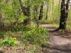 20190506_133721.thumb.jpg.c1c82284105841611e49b4664af6fff0.jpg