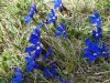 20190506_145143.thumb.jpg.6042a138b69afad0fbe7ccb9873b17db.jpg