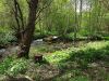 20190507_121640.thumb.jpg.c14627778c5d9fc311e911d5c258ee42.jpg