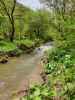 20190507_123848.thumb.jpg.e648bd768715faf8256cc52e4c8eca44.jpg