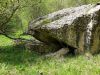 20190507_130021.thumb.jpg.d56ed23db81e21754bbe6f9a067d9f17.jpg