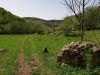 20190507_135233.thumb.jpg.c95a172d98360dff4f3ad2ce52d36fcc.jpg