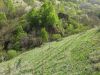 20190507_143350.thumb.jpg.bff4dc8e5cdbe856178466934c1af8c1.jpg
