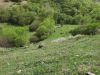 20190507_144810.thumb.jpg.5cbb8748bccd48480d50842aeb52e357.jpg
