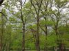 20190508_141540.thumb.jpg.e8e068d6c2bd0dd11a9348e7532955b9.jpg