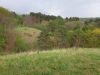 20190508_150510.thumb.jpg.a39c49123943f7da98473ac2a77a0c8e.jpg