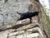 20190509_111217.thumb.jpg.580eb7fb60e199249ead9690410bfd33.jpg