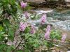 20190509_111450.thumb.jpg.0d71db74e3c6ac8bd64492a08e524c01.jpg
