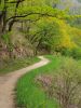 20190509_134038.thumb.jpg.fa15e68329f95c6392afde890b4fc730.jpg