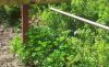 20190510_095322.thumb.jpg.7a8578851ec5c8c30596411df12c27c8.jpg