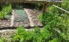 20190510_095359.thumb.jpg.ce42fc00b690f05f6132acb63358c4ce.jpg