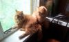 20190510_095409.thumb.jpg.0220d62bf281e4202202edeba33cae21.jpg