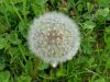 20190510_132746.thumb.jpg.aaa3569bc1d2562e3d1d93c0589f1a09.jpg