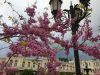 20190510_181617.thumb.jpg.56d03a5e7ed574eb44744442f4e15dde.jpg