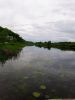 20190510_181634.thumb.jpg.eb3d2060d4dbe8d177f9f424089e512f.jpg