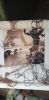 20190512_180737.thumb.jpg.a7eb3e35f5fe6ee2c6b2e079b62adee6.jpg