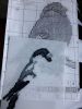 20190512_203651.thumb.jpg.c79b30ae048f303672155082a9110ba4.jpg
