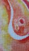 20190523_090530.thumb.jpg.f7bb9c3bbb4a67e1fed66b169d9b6820.jpg