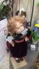 20190525_132750.thumb.jpg.a7ad12de22d26bbec4e6e6787795b368.jpg