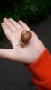 20190525_175546.thumb.jpg.9b959789cf2fca19b03c9c3ae83ff4d0.jpg