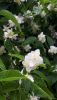 20190525_181345.thumb.jpg.f9d10531ffd7977771400bc572453d4e.jpg