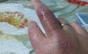 20190528_192905.thumb.jpg.8ad3f431e3ea5af8f7e9a7565d46fb7a.jpg